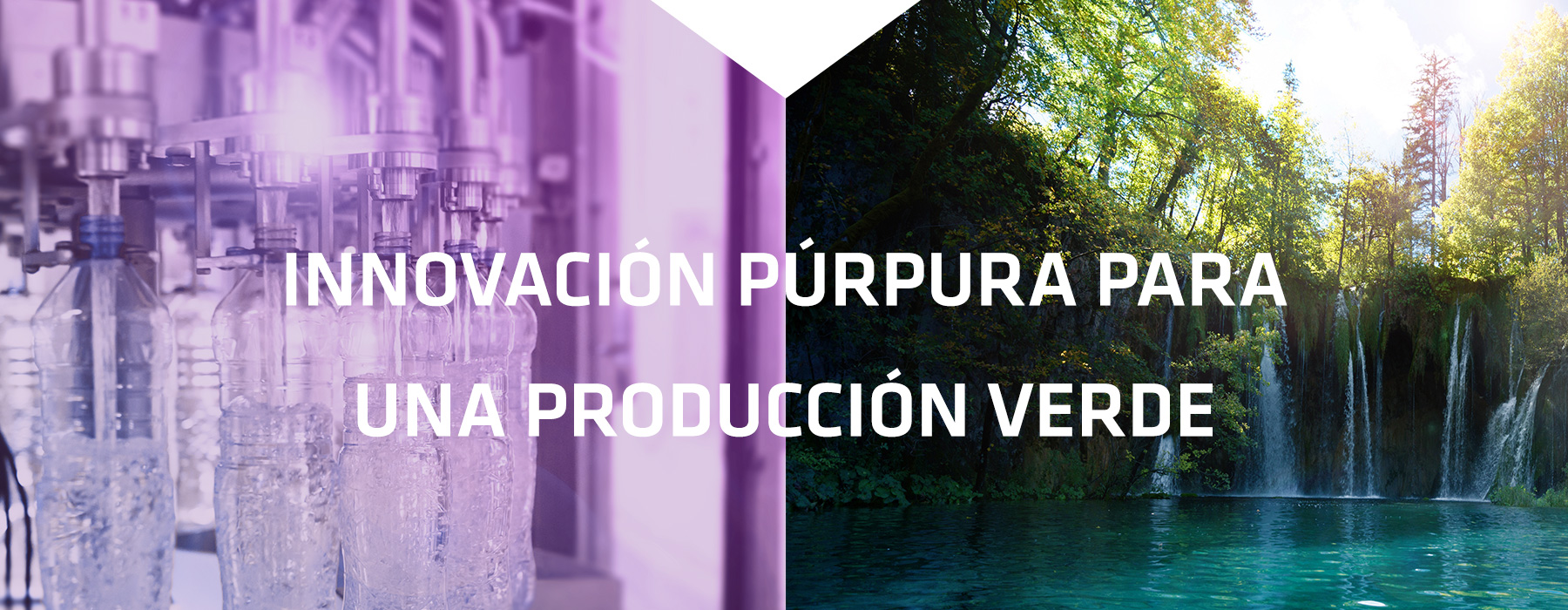 Innovación púrpura para una producción verde